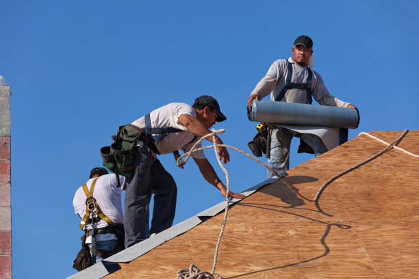 Best Metal Roofing Contractor  in Harvard, IL